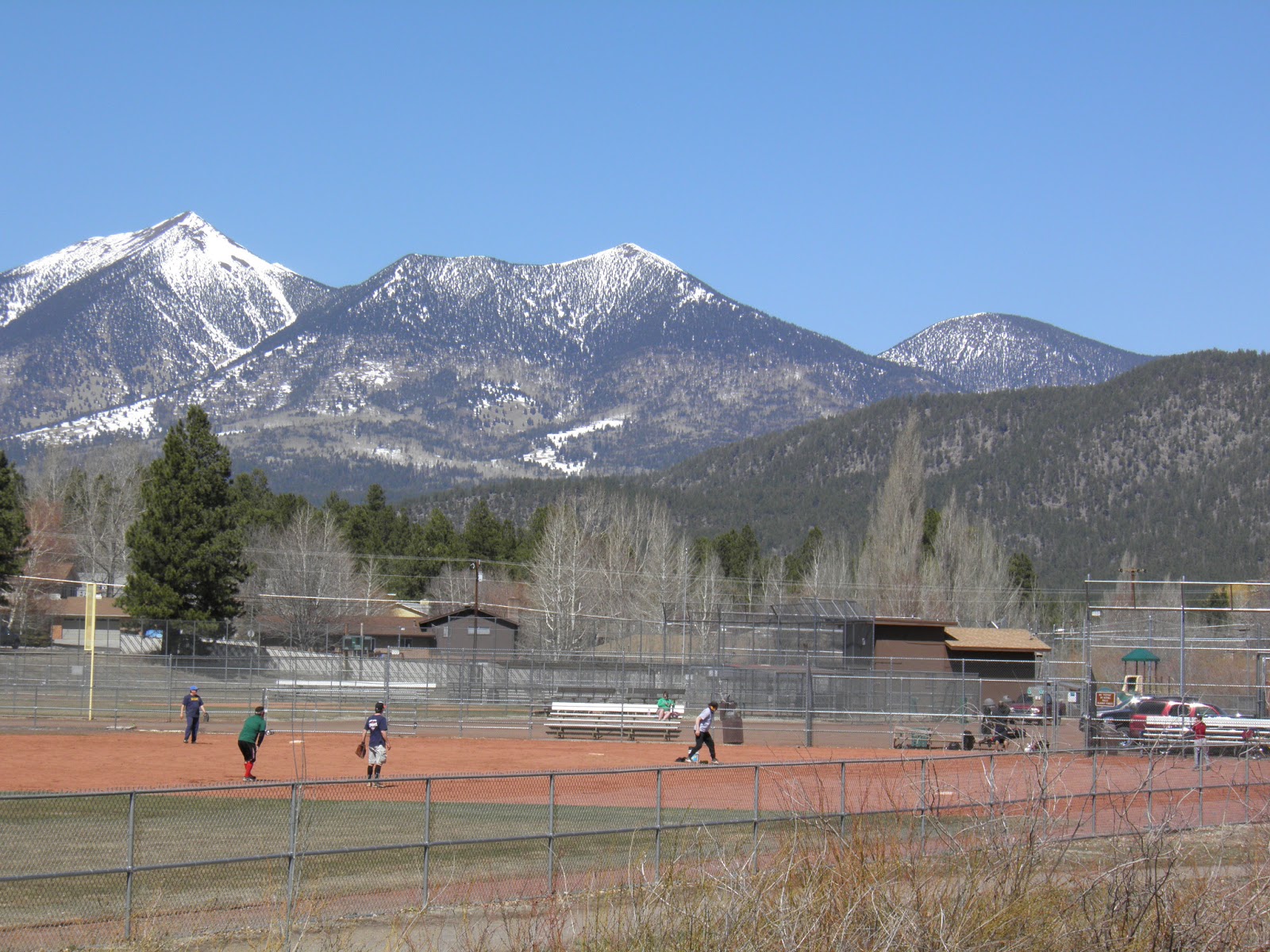 walking flagstaff: spring is coming
