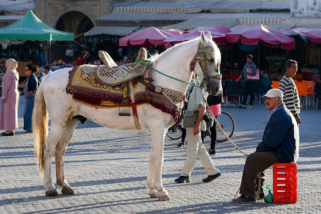 Fotografia-Meknes-Marruecos_Abuelohara