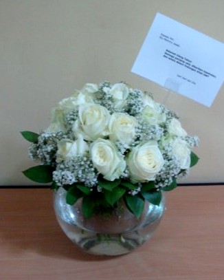 Gambar Gambar Bunga Mawar Putih Basah  Pernik Dunia 