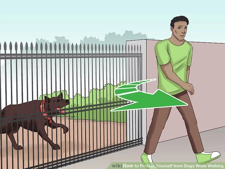 to Protect Yourself from Dogs While Walking
