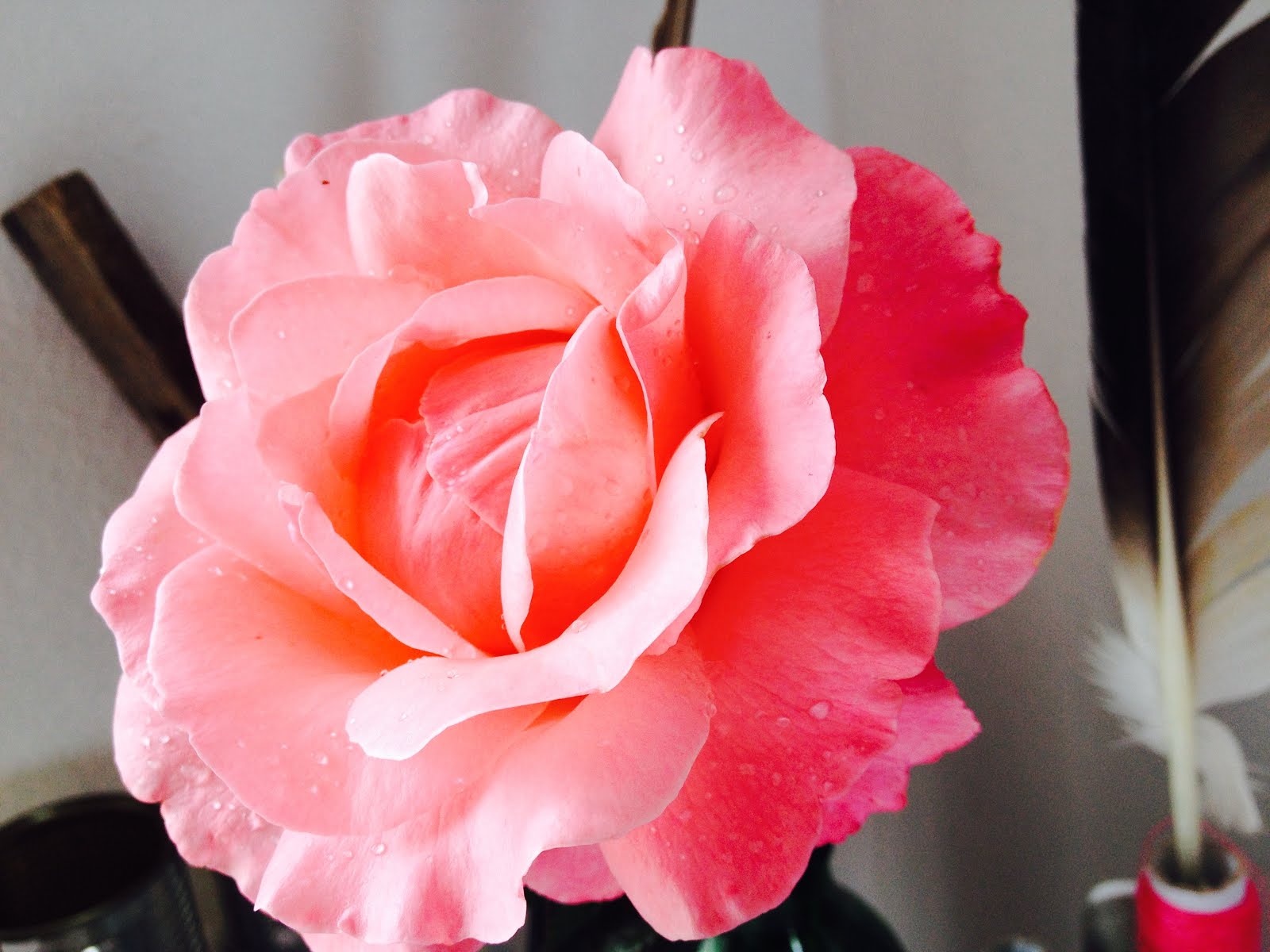 Kos anders erleben. Sitar Bar in Kos City rustikal, oldschool, modern