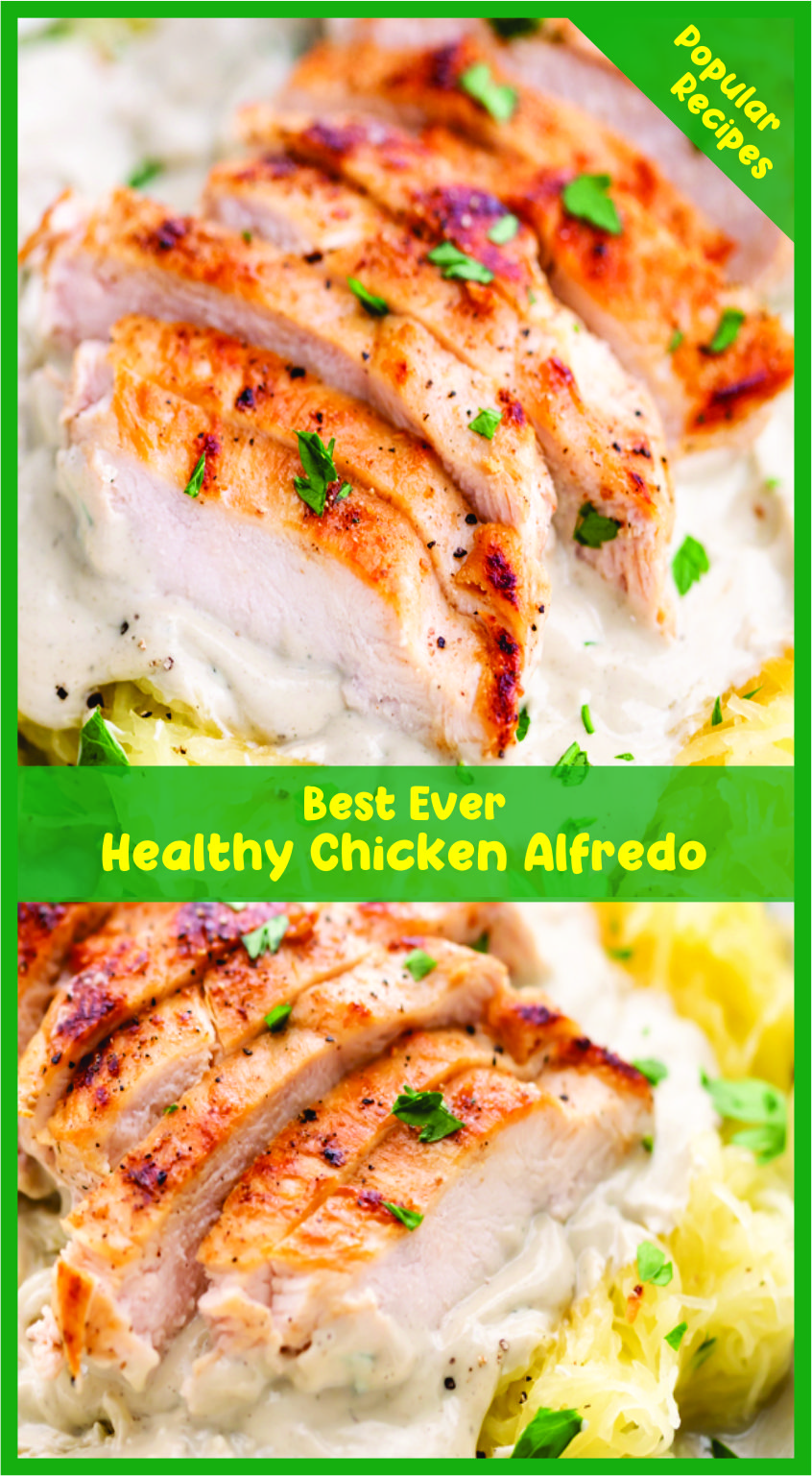 Healthy Chicken Alfredo Recipe Spesial Food