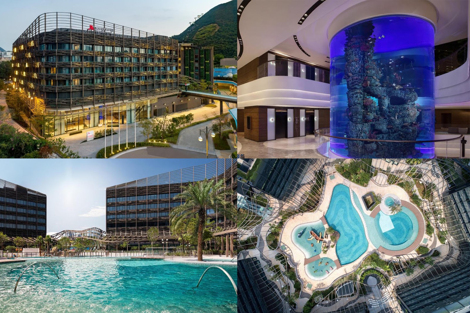 「網購FUN享」 【Ocean Park Staycation優惠】海洋公園萬豪酒店Marriot Staycation ViuTV介紹