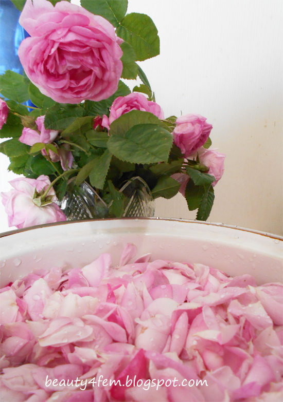 Вода розовых лепестков
