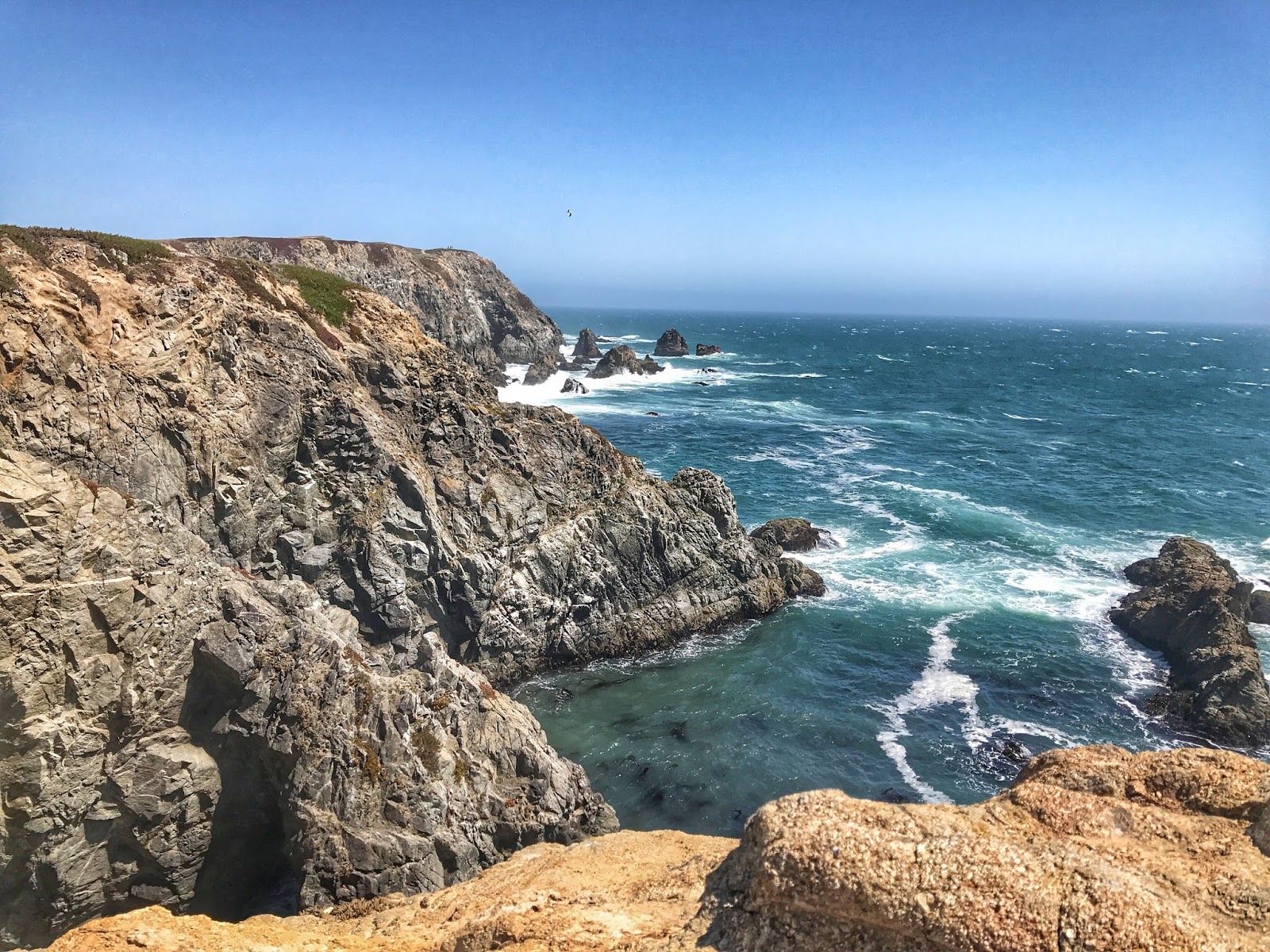 RunHikePlay Bodega Bay Trail Hike 7/1/17