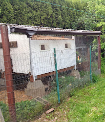Northwest Nirvana: Rain Collection Barrel for the Chicken Coop