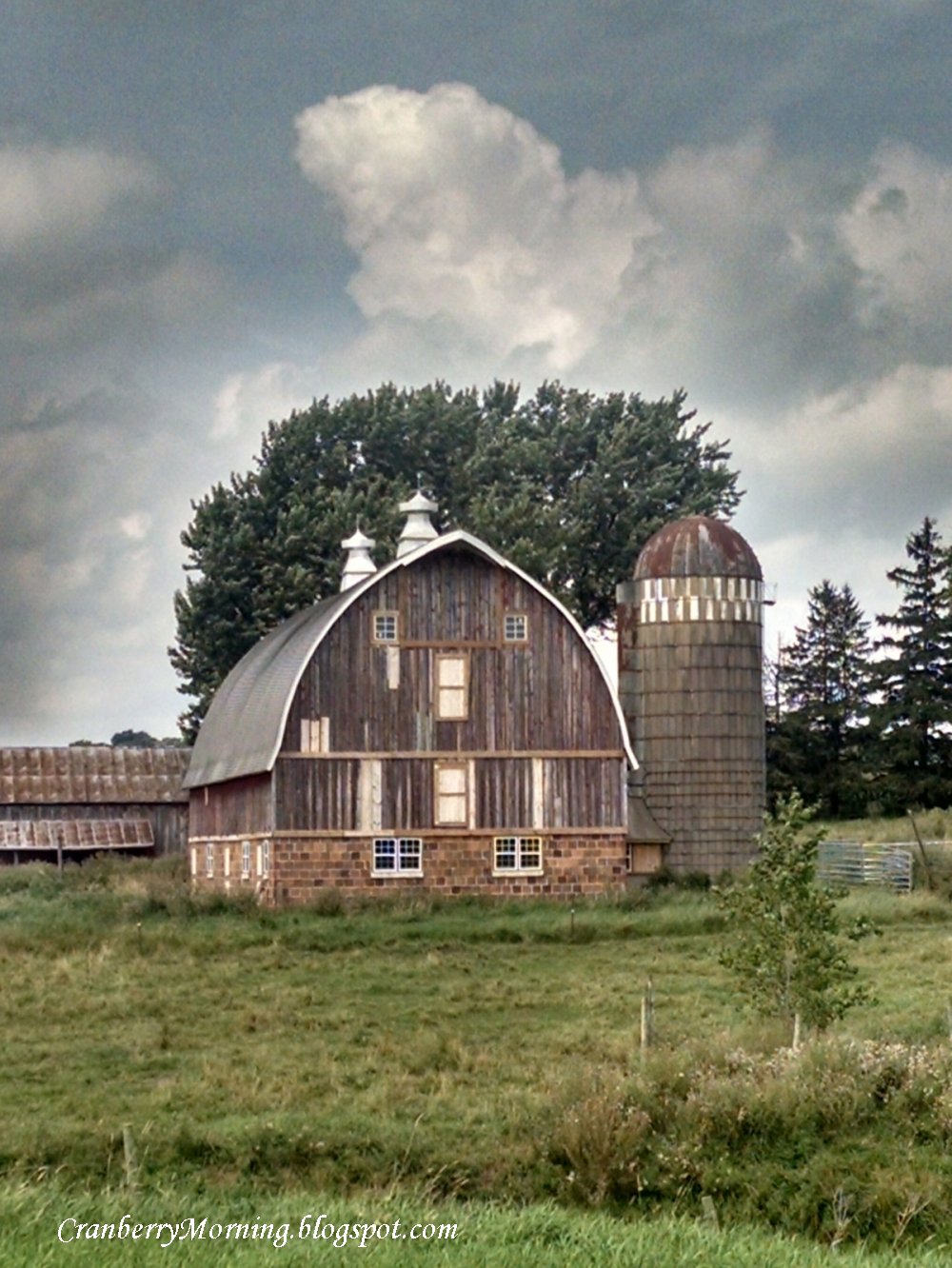 Cranberry Morning The Red Barn Mystery And Lots Of Ducks