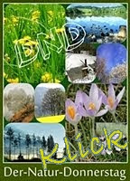 Klick zum "Natur-Donnerstag" http://kreativ-im-rentnerdasein.blogspot.de/2017/03/der-natur-donnerstag.html