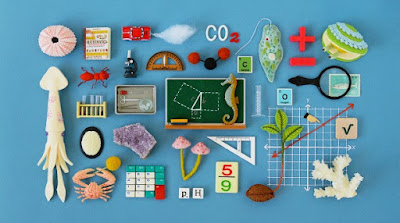 Education_HineMizushima_615.jpg