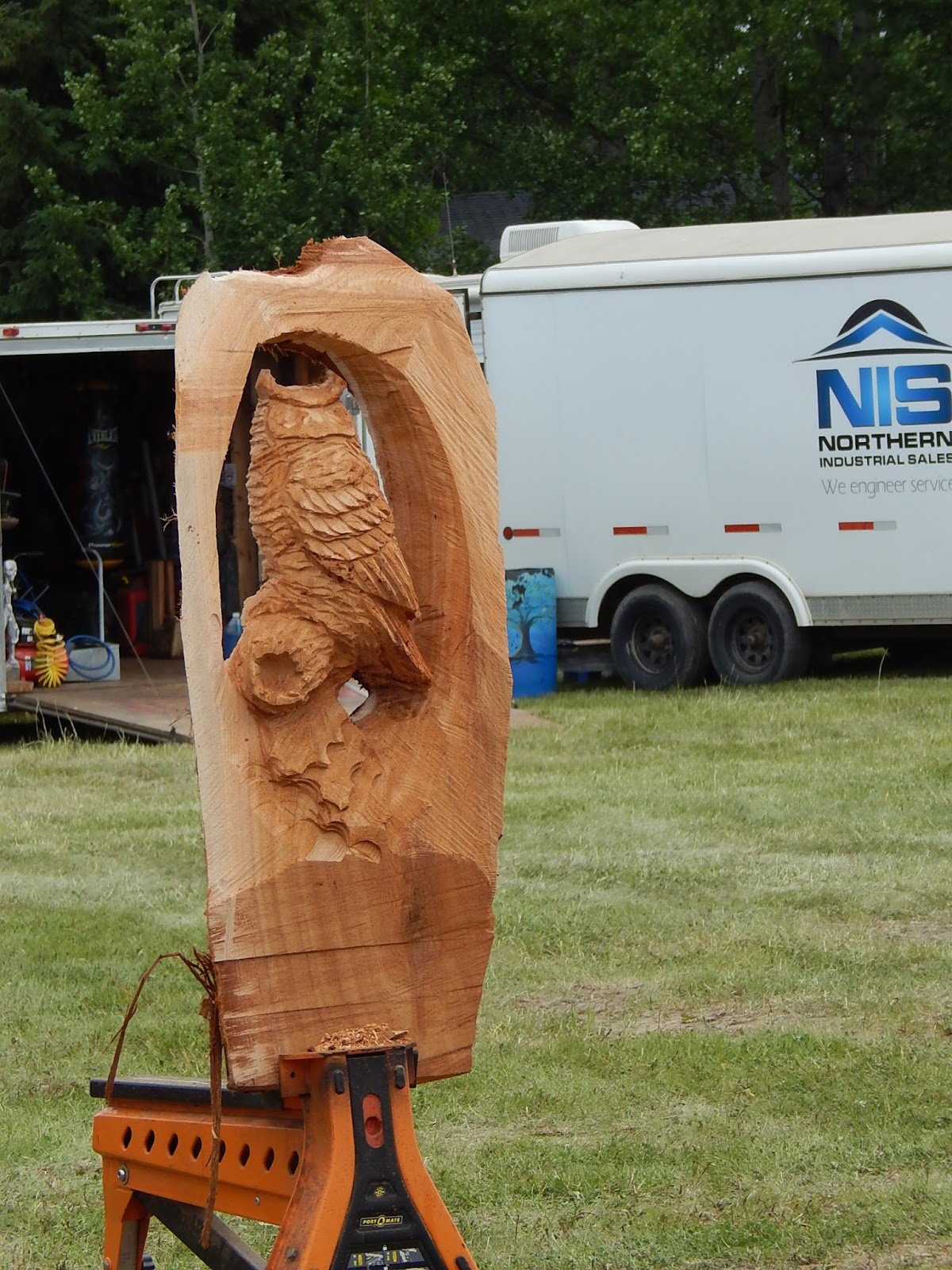 Ray and Cindy's RV Travels Chain Saw Carving