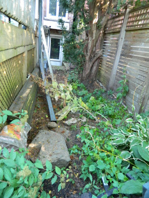 Toronto High Park Back Yard Fall Cleanup Before by Paul Jung Gardening Services--a Toronto Organic Gardener Toronto High Park Back Yard Fall Cleanup Before by Paul Jung Gardening Services--a Toronto Organic Gardener