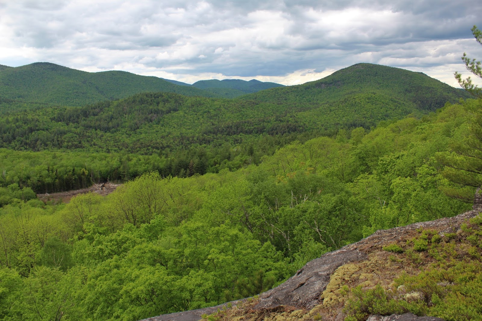 Walking Man 24 7 Eagle Pond & Eagle Pond Ledges(Wilcox Lake Wild