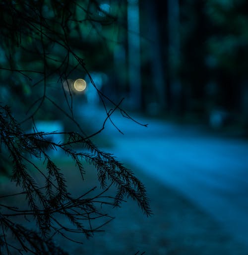 Good Night Images for friends Good Night Images for friends