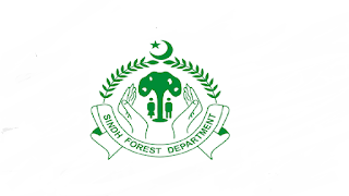 Forest and Wildlife Department Jobs 2021 in Pakistan - Sindh Govt Jobs 2021 - Jobs in Karachi 2021 Forest and Wildlife Department Jobs 2021 in Pakistan - Sindh Govt Jobs 2021 - Jobs in Karachi 2021