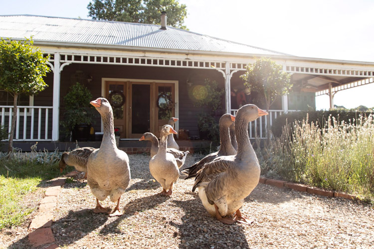 An Idyllic Farmhouse In Victoria, For a family of Five