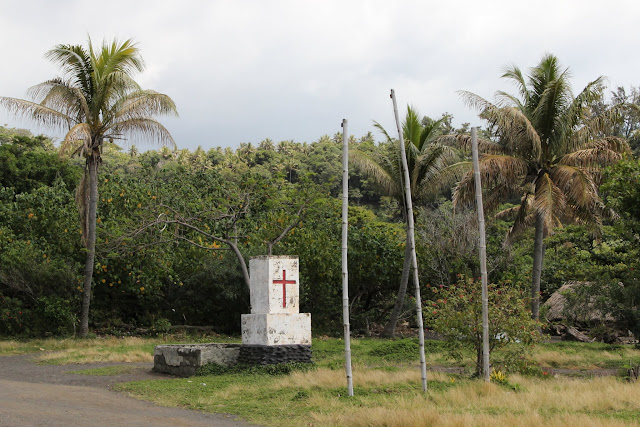 2016090174tanna.JPG