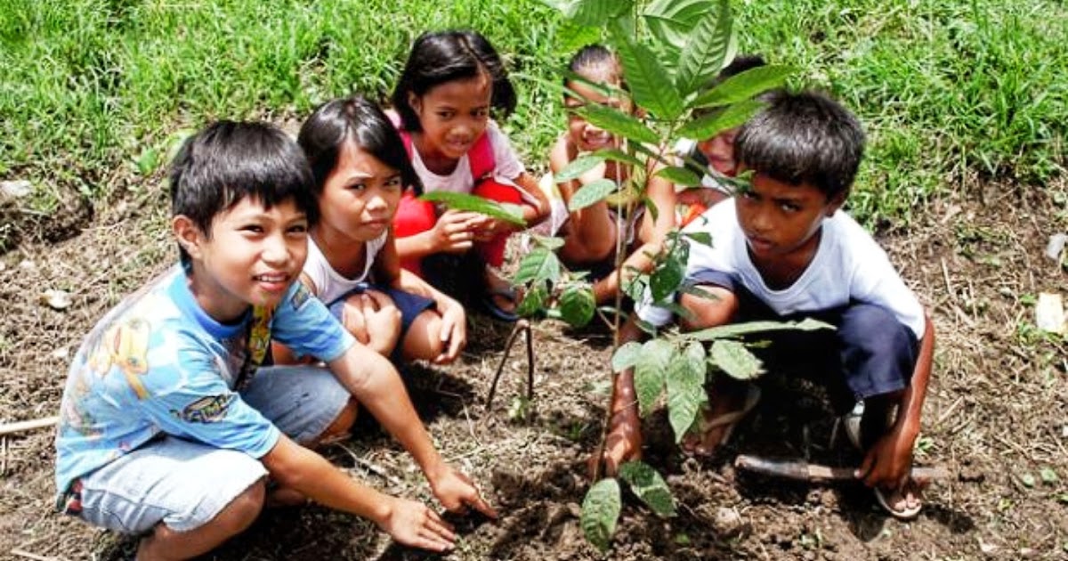 Filipinos Require To Plant Trees As Per Presidential Decree PINOY FORMOSA