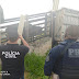 Operação conjunta prende integrantes de quadrilha acusada de furtar gado em Inhambupe e Serrinha