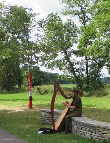 Another harpist in Cork and trees wrapped in scarfs