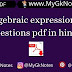 algebraic expressions questions pdf in hindi