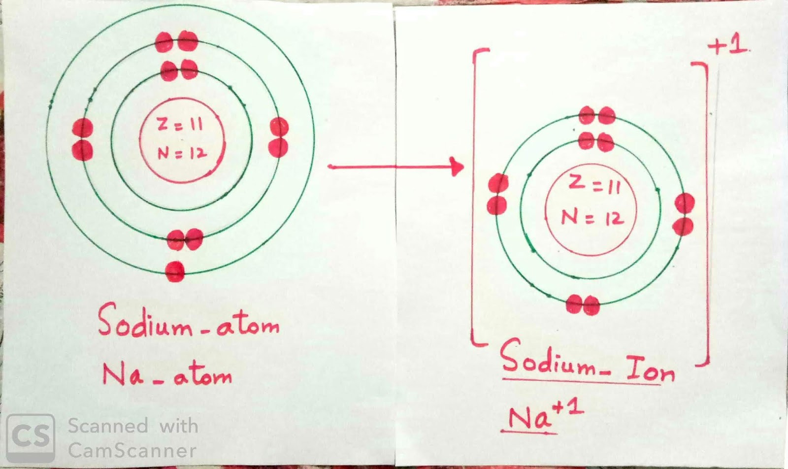 Ionic( cation and anion) size difference from neutral parent atom?