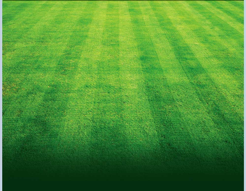 The Grass is Greener Landscaping