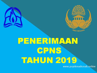 penerimaan cpns 2019