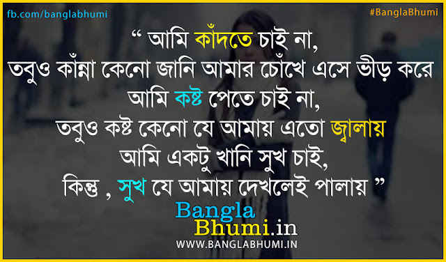 Bangla I Miss You HD Photo : Bangla Sad Love Quote