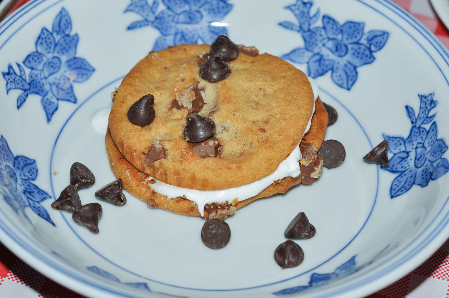 S'Mores Summer Party S'Mores Summer Party