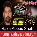 https://www.humaliwalayazadar.com/2012/11/raza-abbas-shah-nohay-2001-2013.html