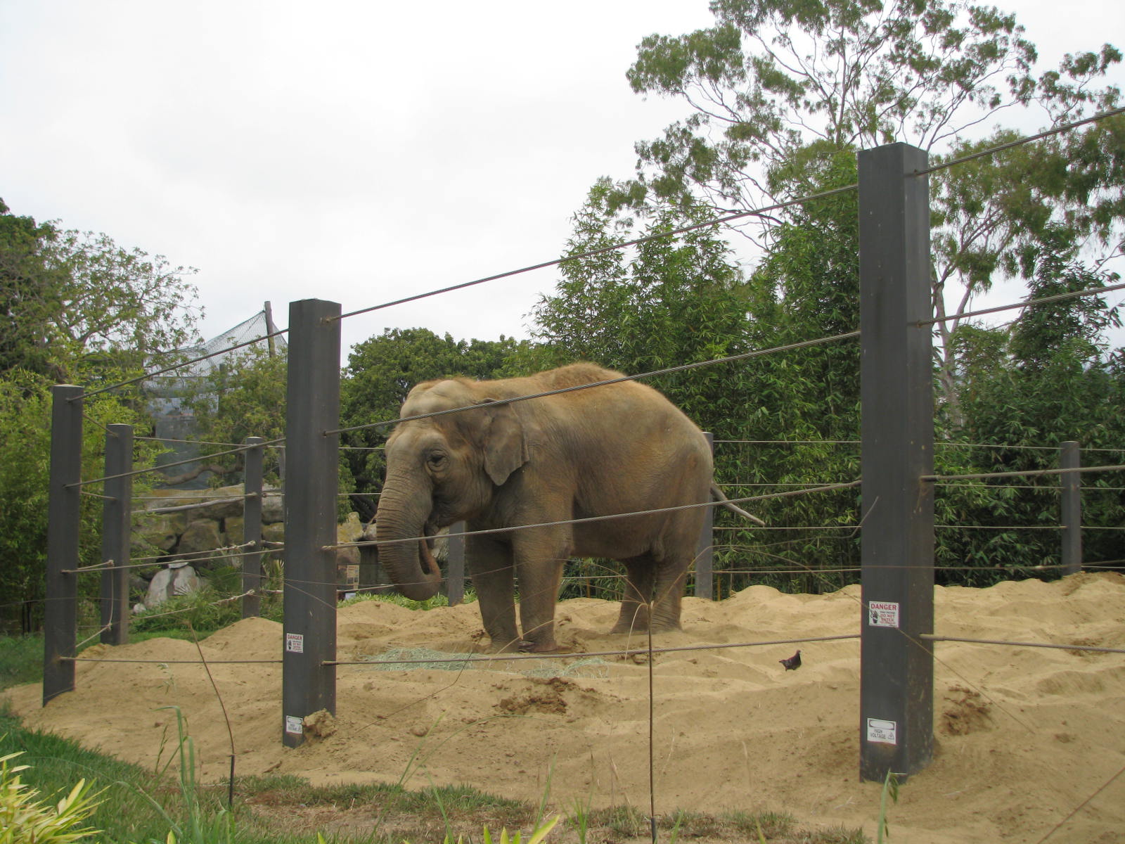 beauty-4-ashes-zoo-dump