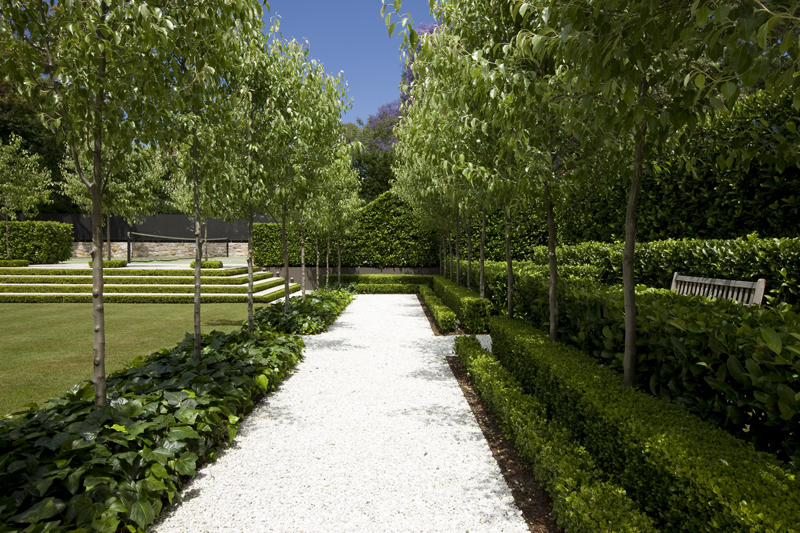 a curious gardener garden designer Peter Fudge