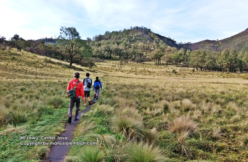 Jalur pendakian gunung lawu