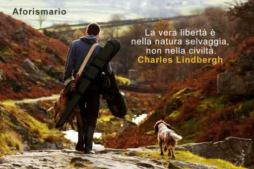 Aforismario Aforismi Frasi E Citazioni Sulla Natura Selvaggia