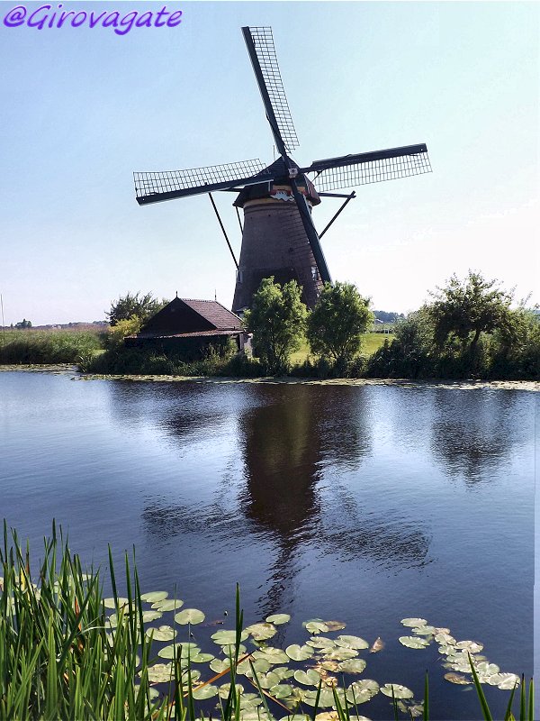 mulini vento kinderdijk olanda