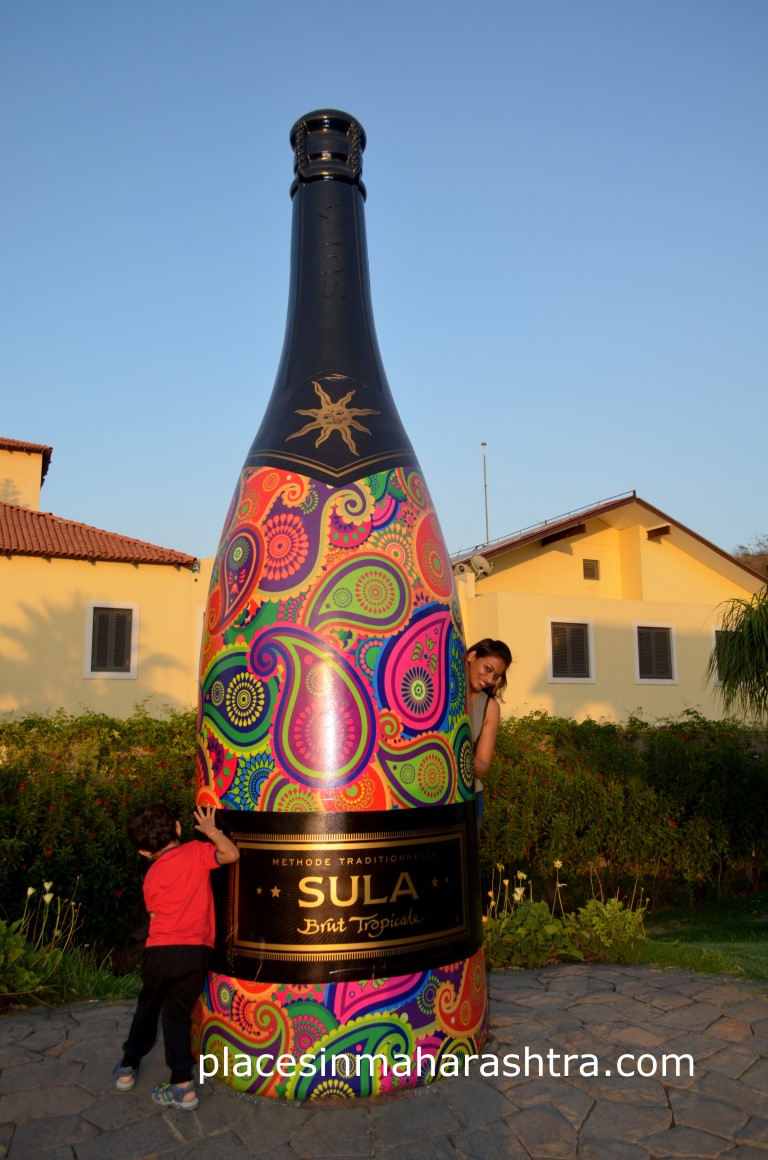 Wine Tourism Sula Vineyards Entry Timing Sula Vineyards Day Tour