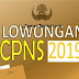 CPNS 2019 Terdapat 100 Fomasi Yang Akan Di Buka Oleh Pemerintah