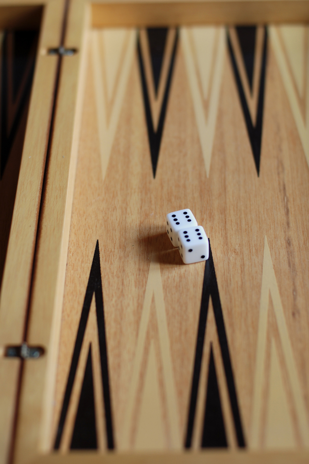 a close-up of backgammon field