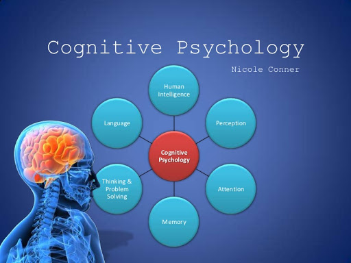 evaluate the research methods used by cognitive psychologists