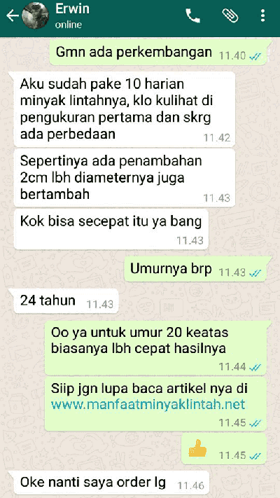 testimoni memakai minyak lintah testimoni memakai minyak lintah