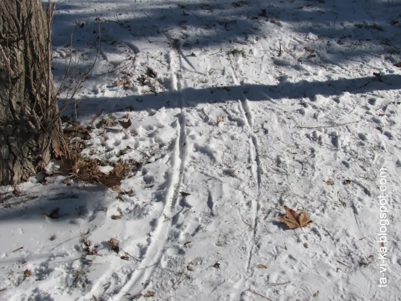 следы санок на снегу