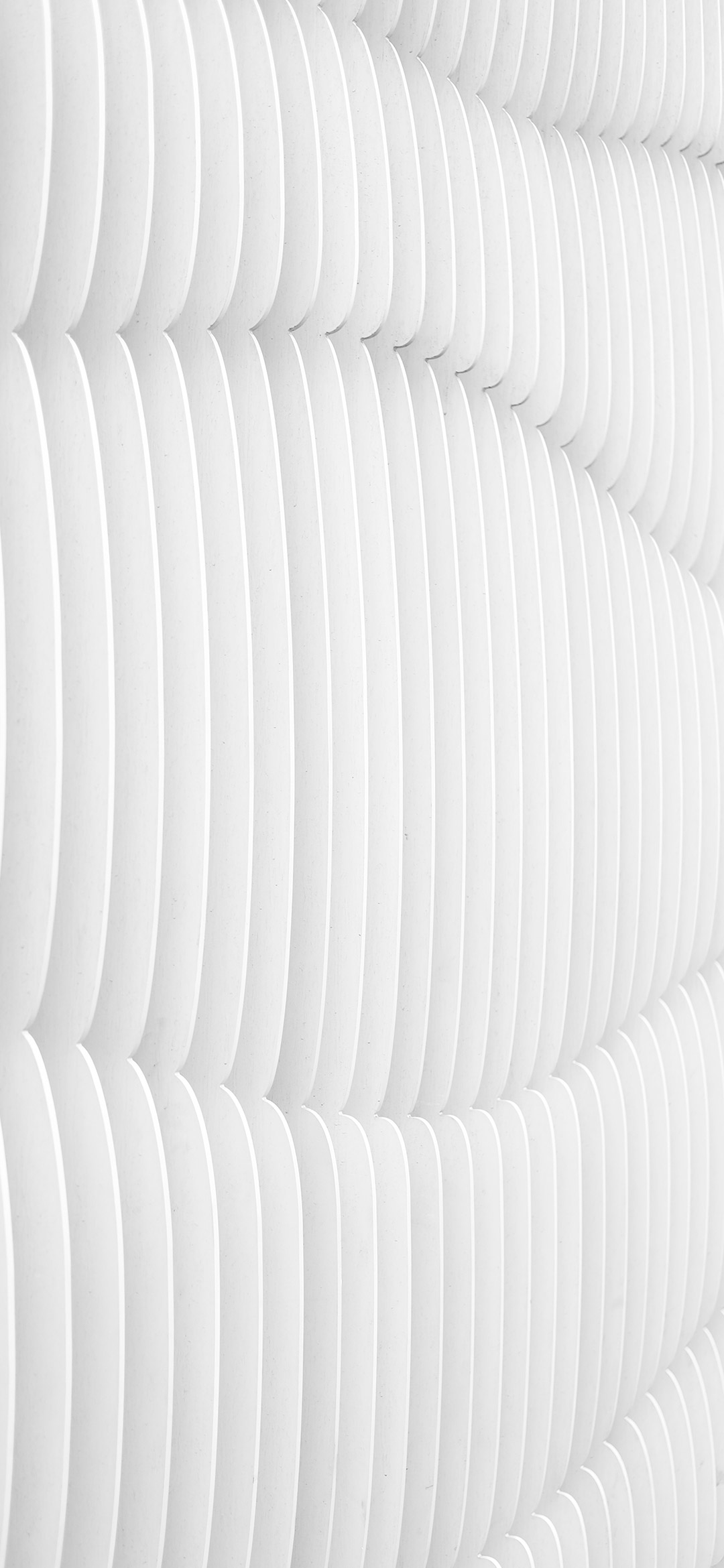 خلفيات بسيطة ورقة شجر تلال الرمال