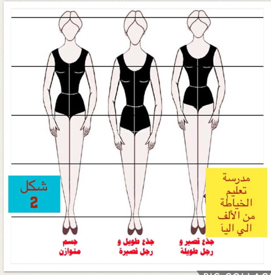 أنواع من الأجسام تحددها أبعاد الجسم الطولية