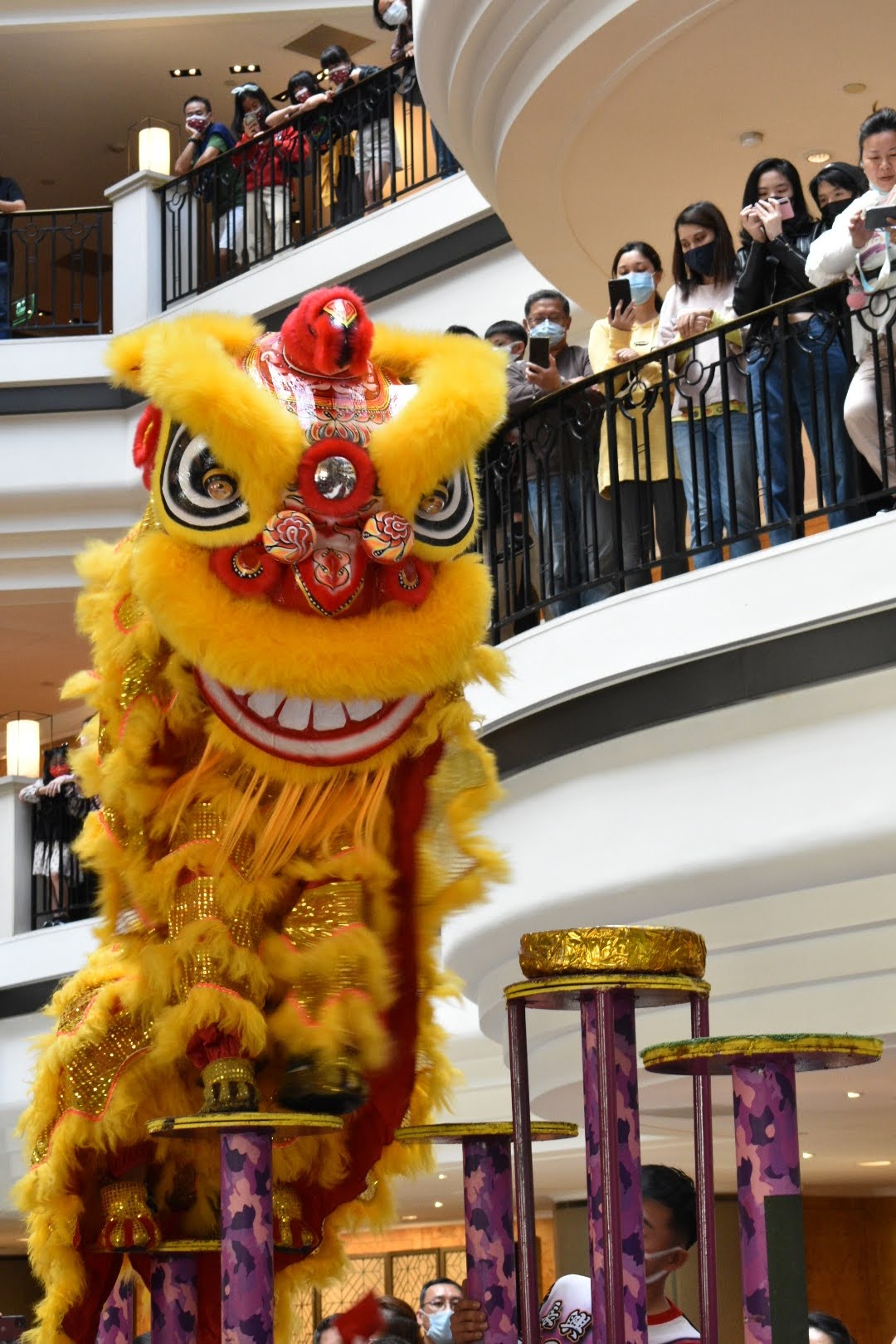 Chinese New Year/ Guo Nian (过年)