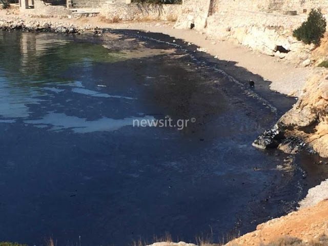 μαύρο πουλί σεξ κανάλι