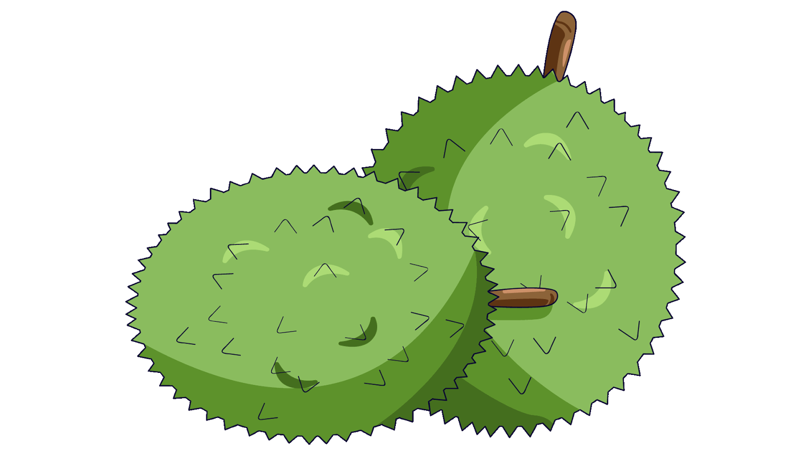 Download 12 Clipart Buah  Durian www buahaz com