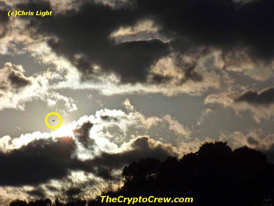 Possible UFO photographed