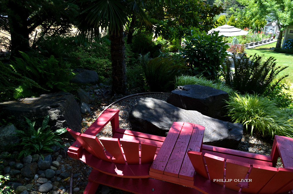 The Beck Garden in Gig Harbor