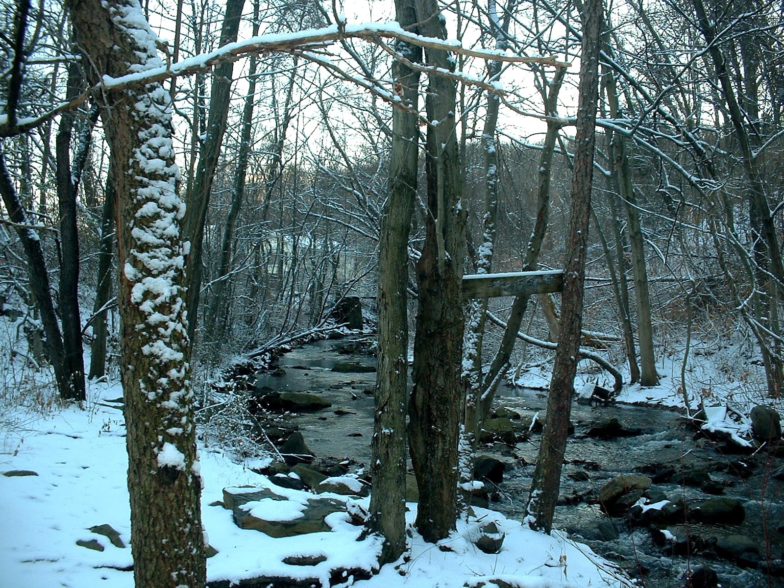 Frank's Place Stafford Meadow Brook