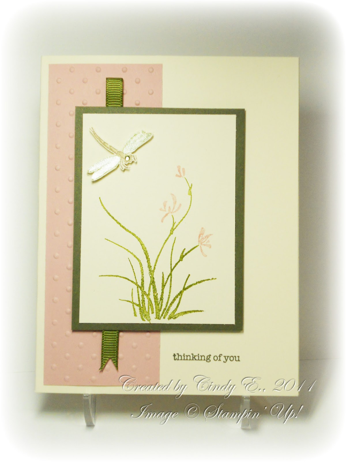 Gallery euro teen his